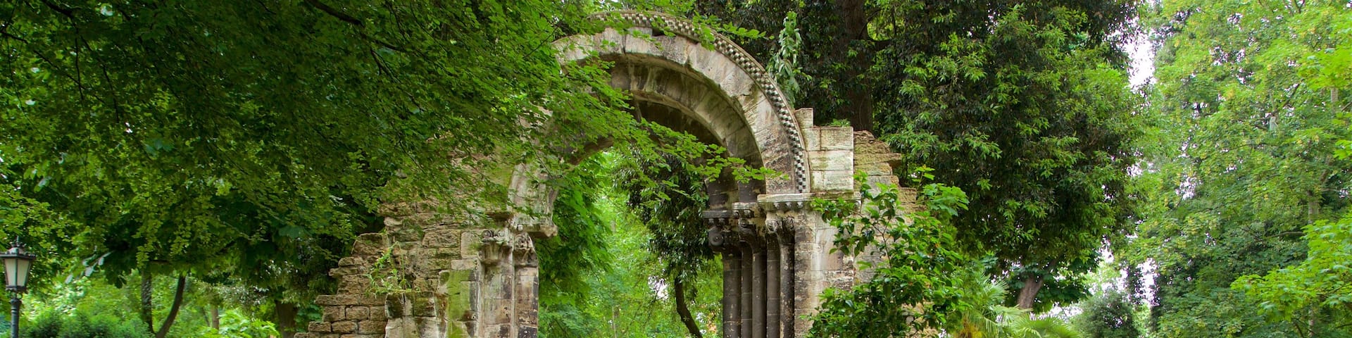 Parc Campo de San Francisco mettant en vedette parc