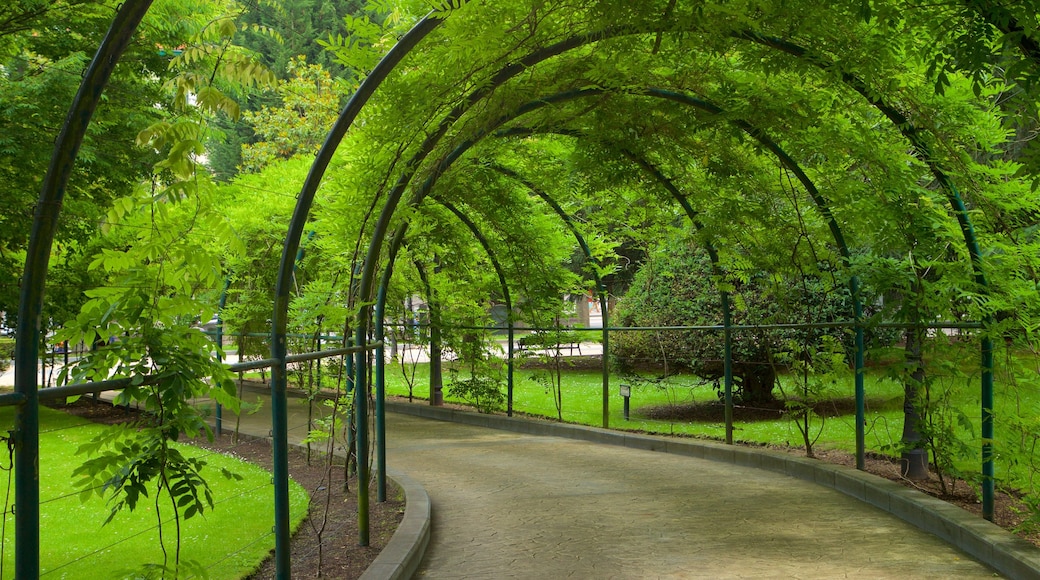 Campo de San Francisco showing a garden