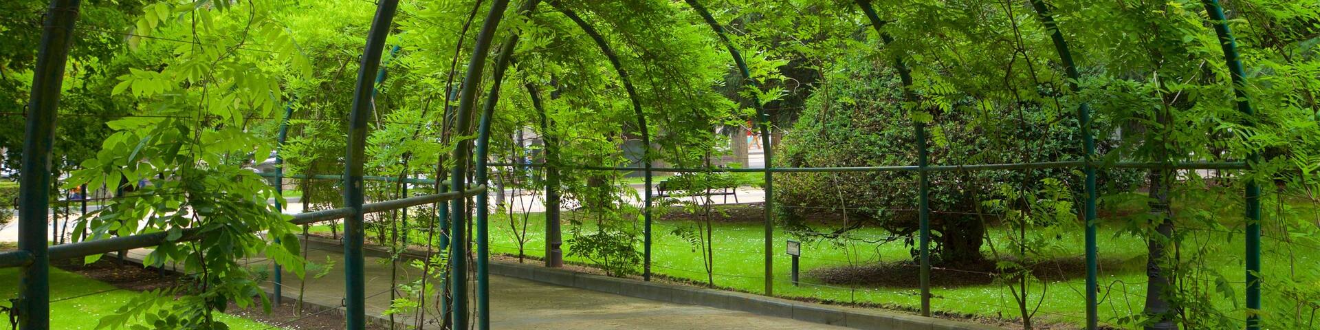 Campo de San Francisco which includes a park