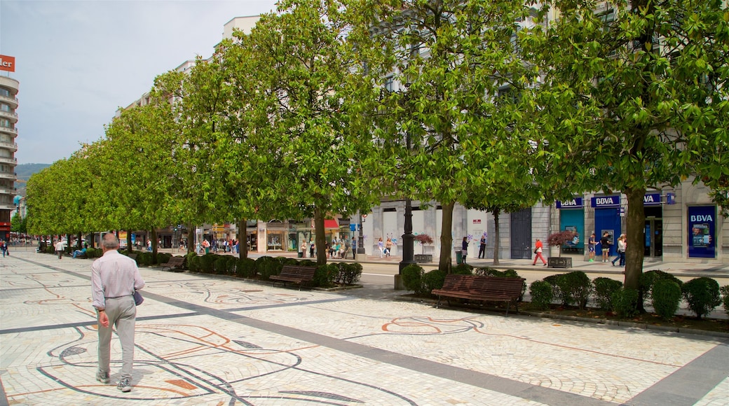 Campo de San Francisco ofreciendo escenas urbanas y un parque o plaza y también un hombre