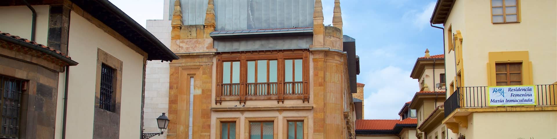 Archaeological Museum of Asturias featuring heritage elements