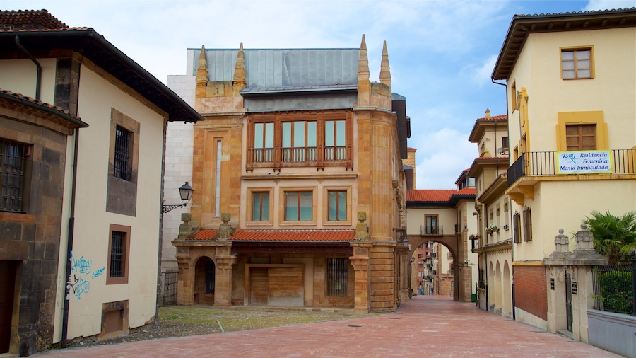 Museo Arqueológico de Asturias ofreciendo elementos del patrimonio