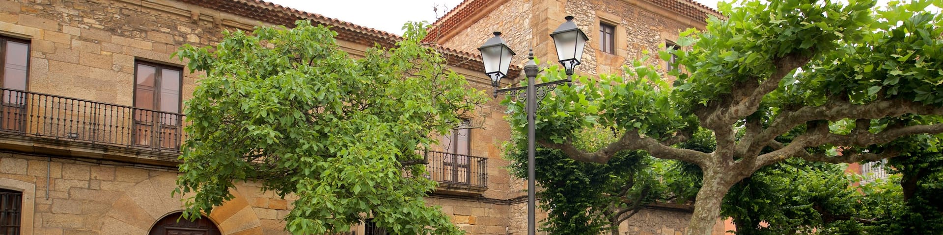 Jovellanos Birthplace Museum which includes heritage elements