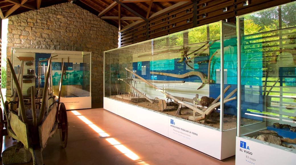 Museo del Pueblo de Asturias ofreciendo vista interna