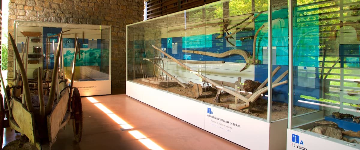 Museo del Pueblo de Asturias mostrando vistas interiores
