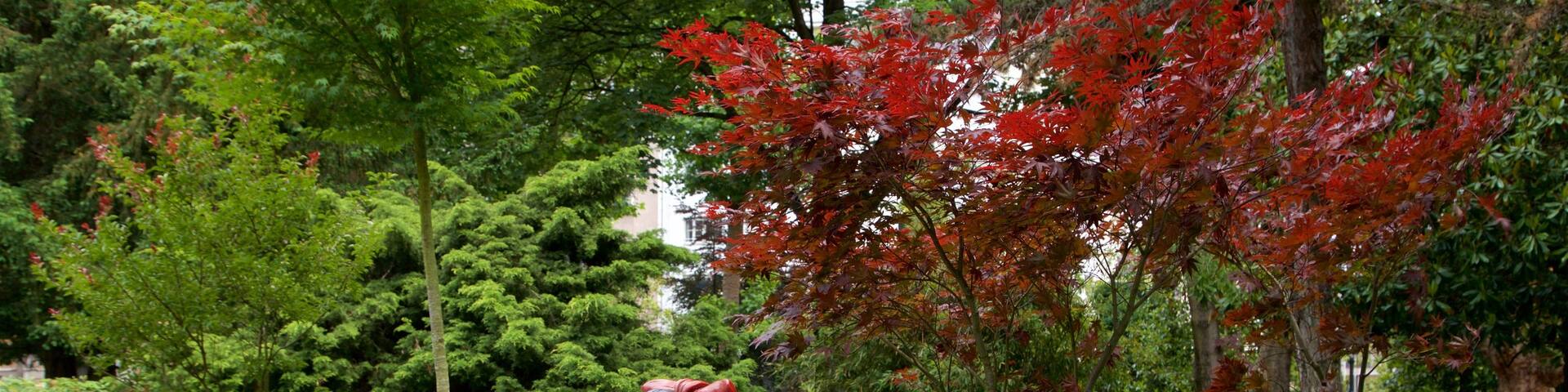 Mafalda Statue which includes outdoor art and a garden
