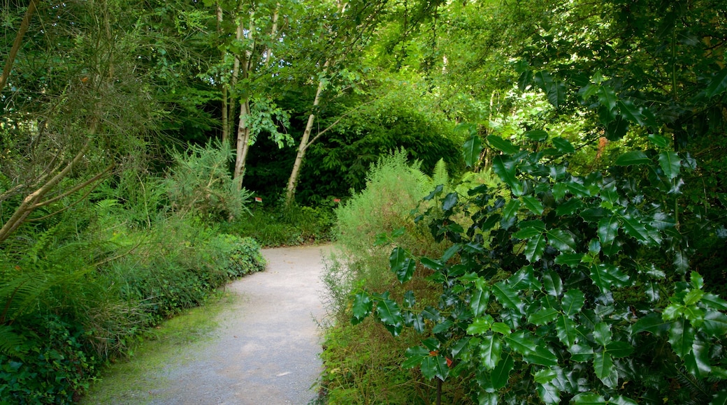 Jardín Botánico Atlántico som inkluderar skogslandskap och en park