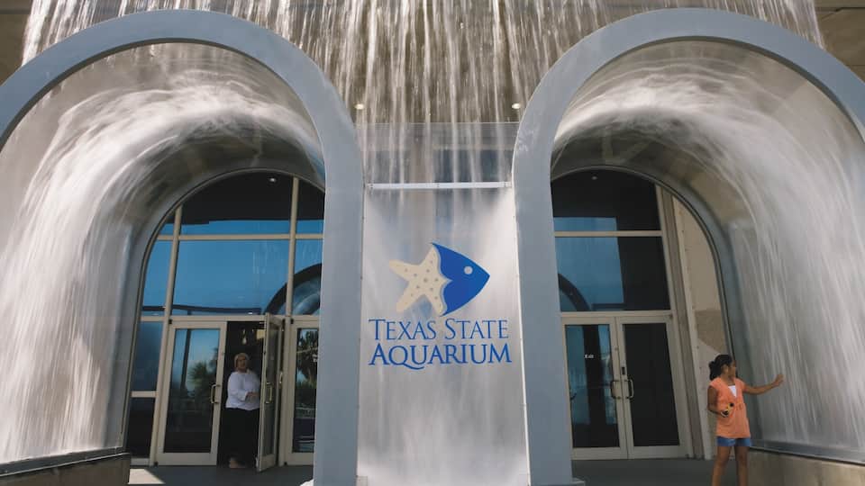 Corpus Christi mostrando sinalização e vida marinha