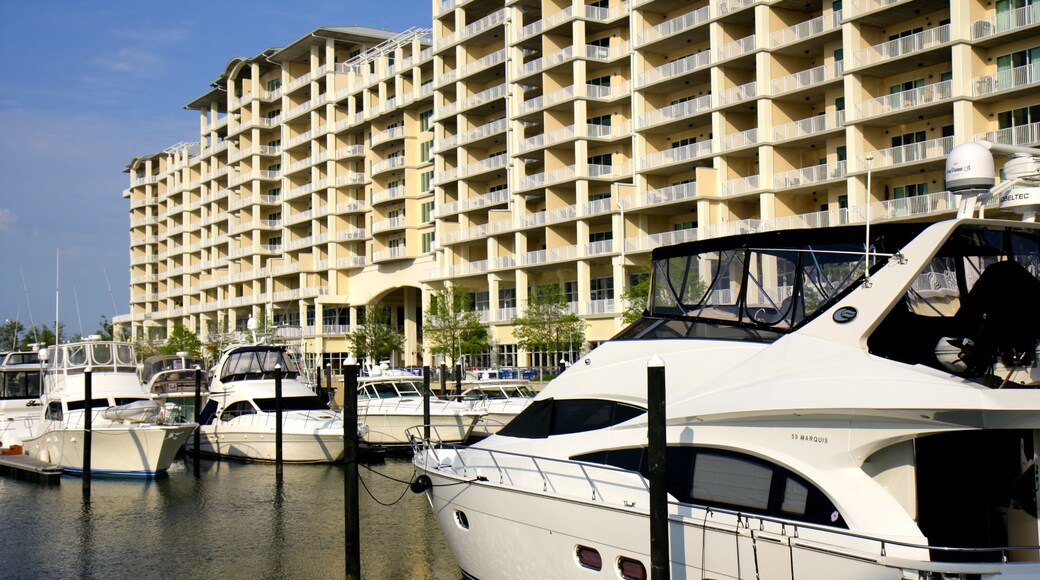 Photo provided by Alabama Tourism Department