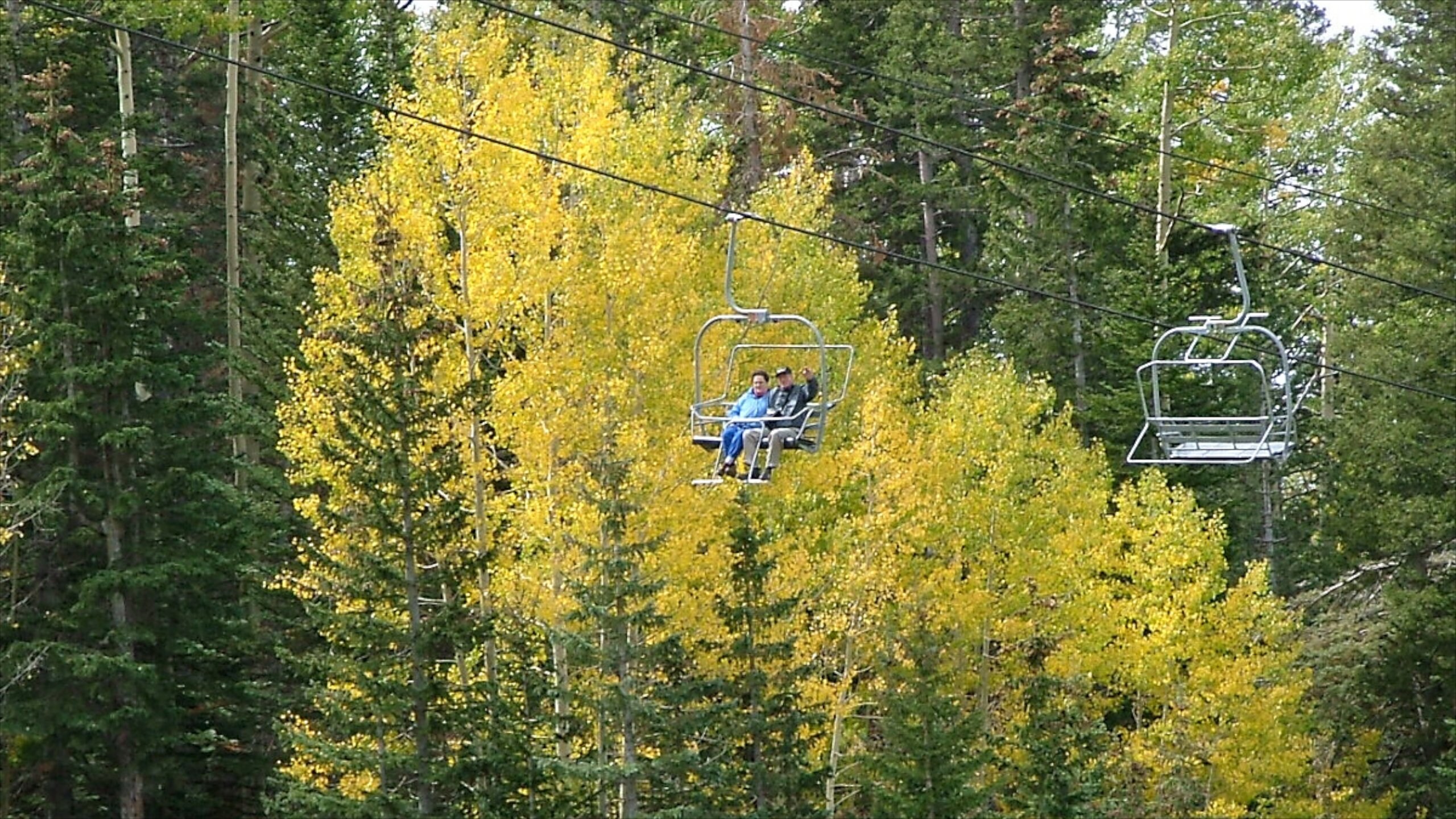 Alamo Car Rental Flagstaff Az Hidden Hollow Log Cabin + Kid's