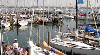 Nantucket presenterar båtkörning, en hamn eller havsbukt och en marina