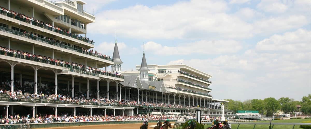 Louisville mostrando equitación, un evento deportivo y animales tiernos