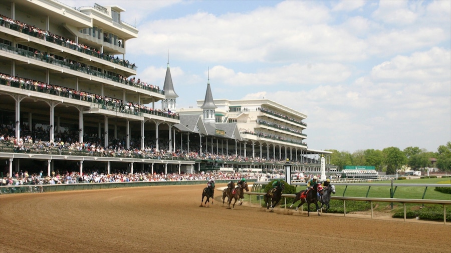 Louisville caratteristiche di evento sportivo, animali domestici e giro a cavallo