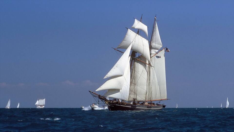 New Haven welches beinhaltet Segeln
