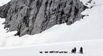 Juneau which includes landscape views, dog sledding and snow