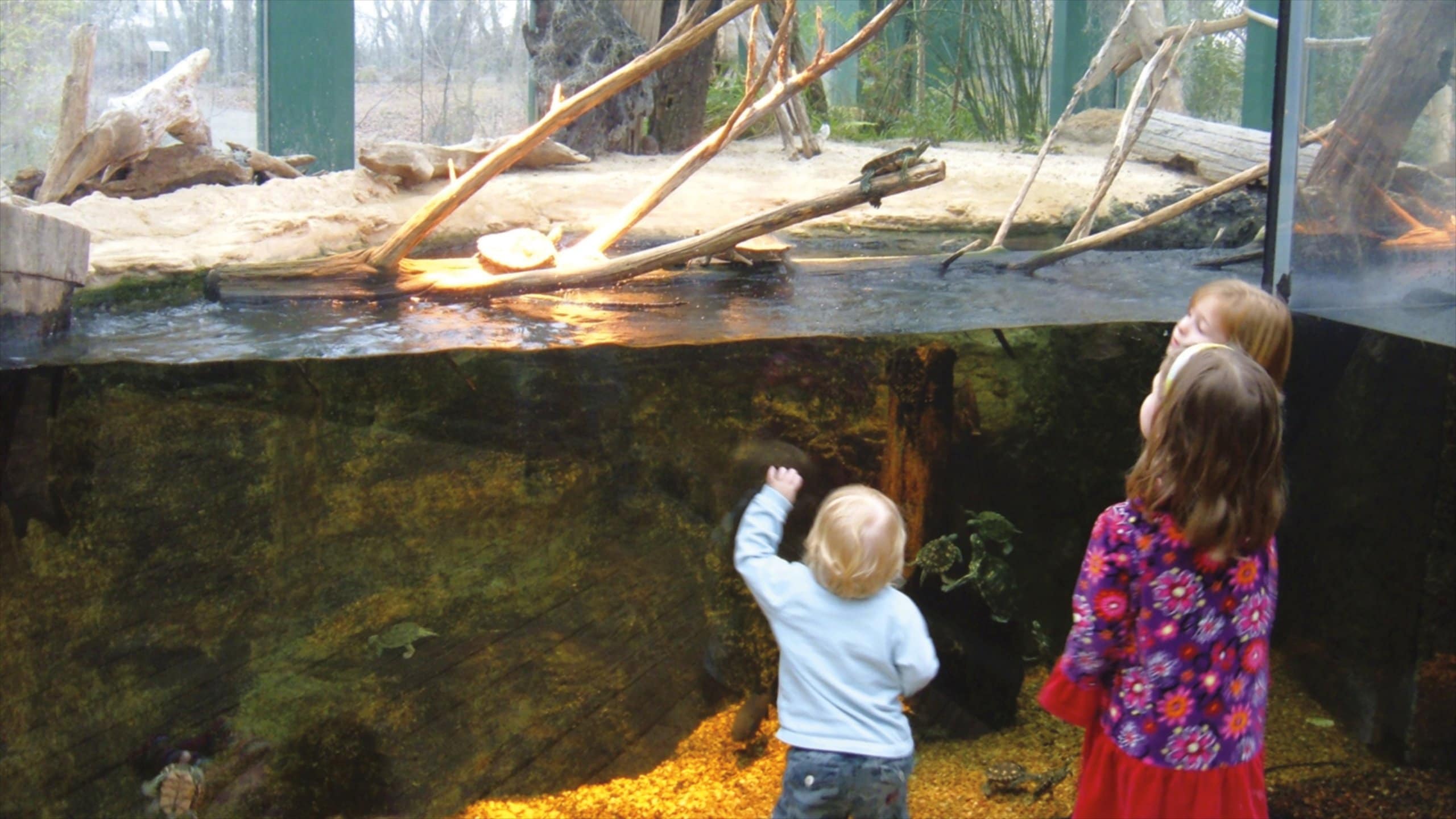 Jackson showing marine life and interior views as well as children