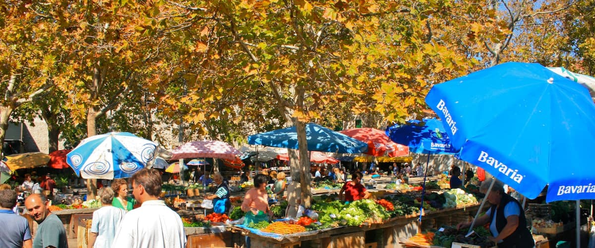 Spalato mostrando foglie d\'autunno, mercati e cibo