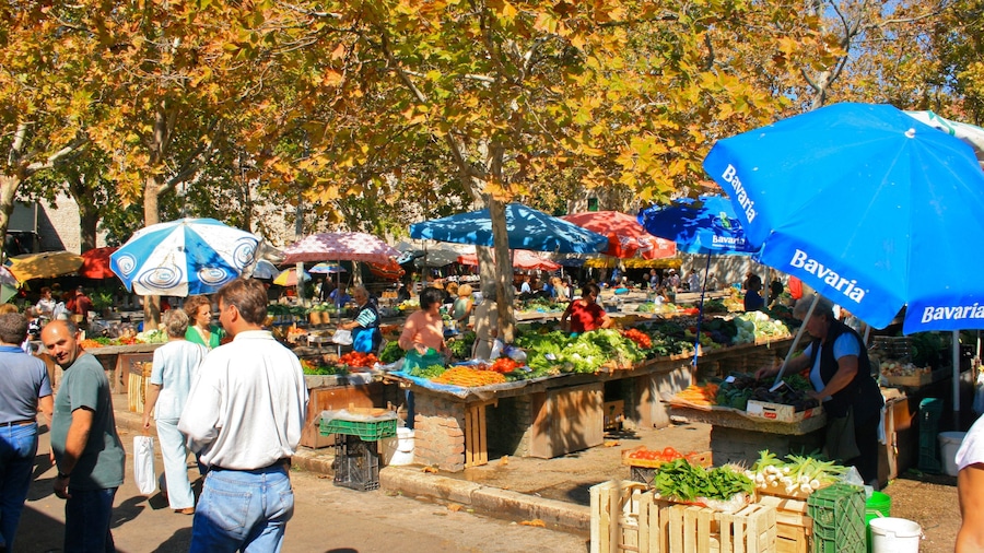 Split which includes food, autumn leaves and markets