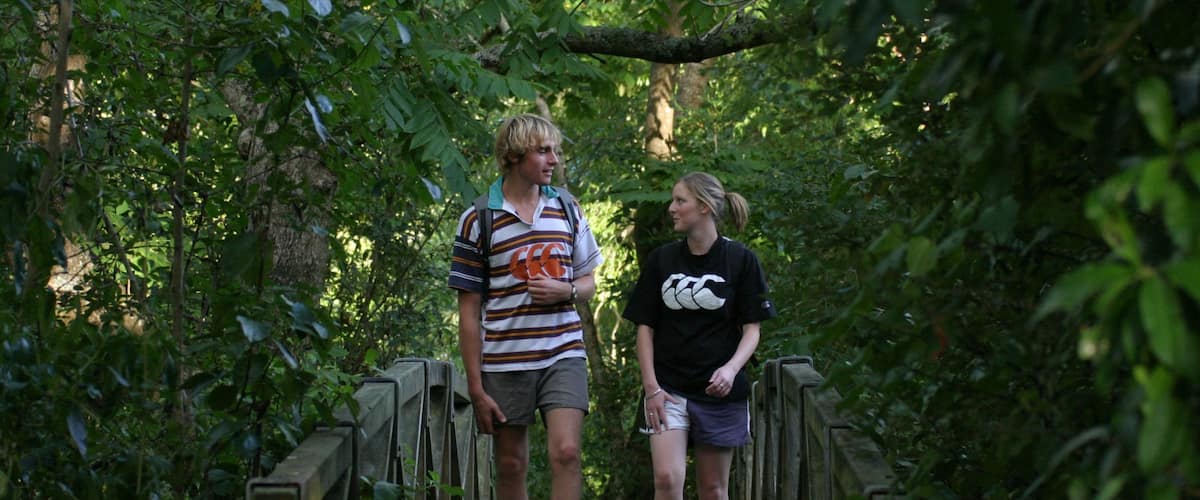 Manawatu - Wanganui mettant en vedette forêts, jardin et randonnée ou marche à pied