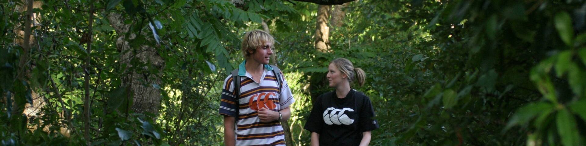 Manawatu - Wanganui which includes forests, hiking or walking and a garden