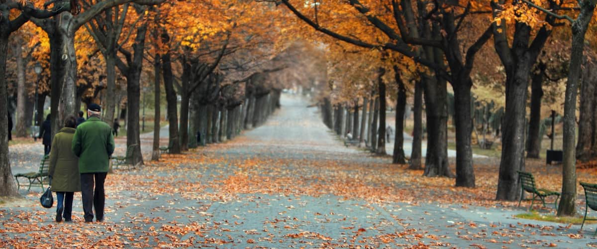 Parc des Bastions mettant en vedette scènes forestières, couleurs d\'automne et parc