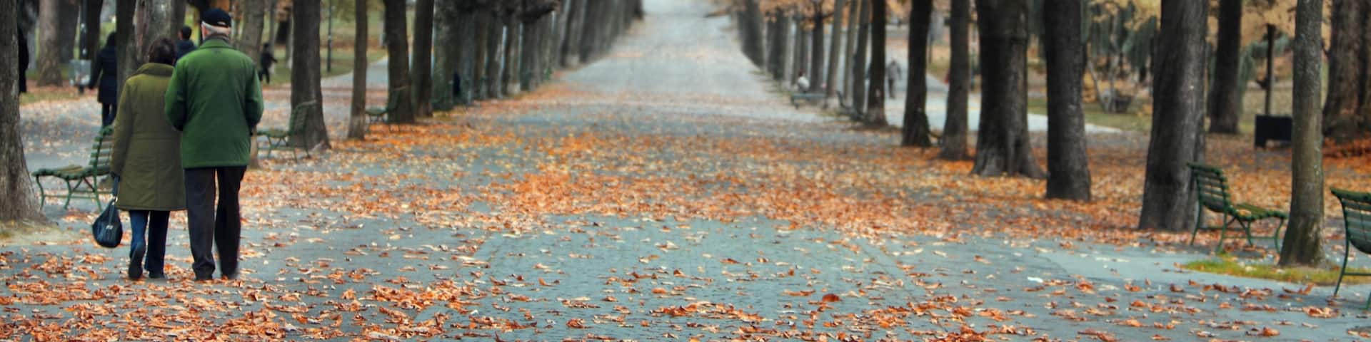 Bastions Park featuring autumn leaves, forest scenes and a park