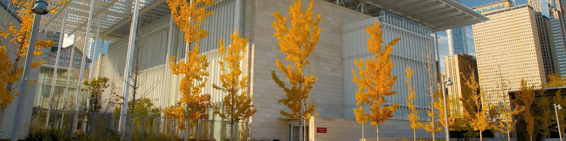 Millennium Park featuring a city, modern architecture and fall colors