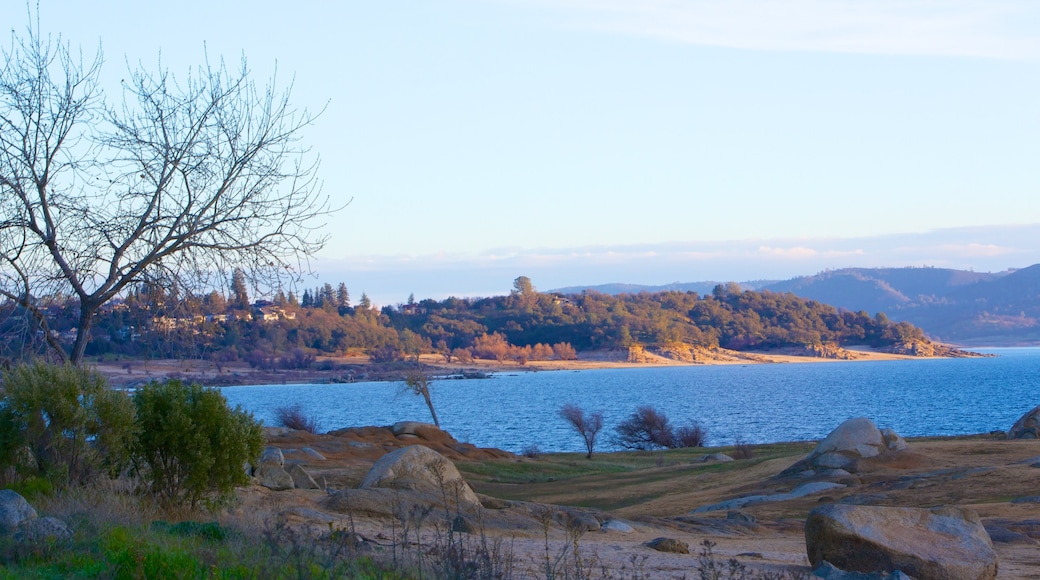 Sacramento showing forests, general coastal views and landscape views