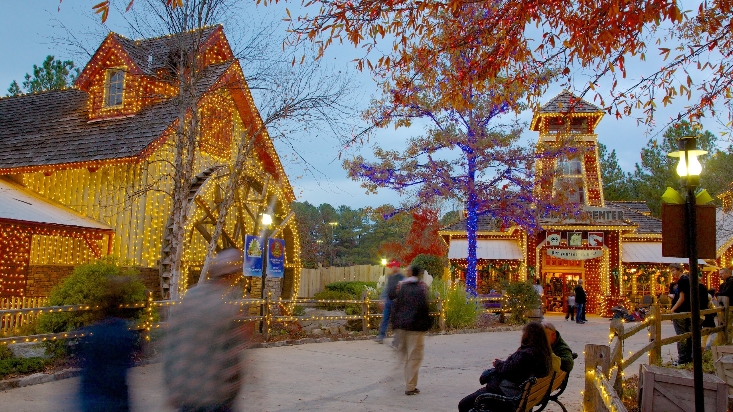 Stone Mountain Park mostrando colori d\'autunno e giardino