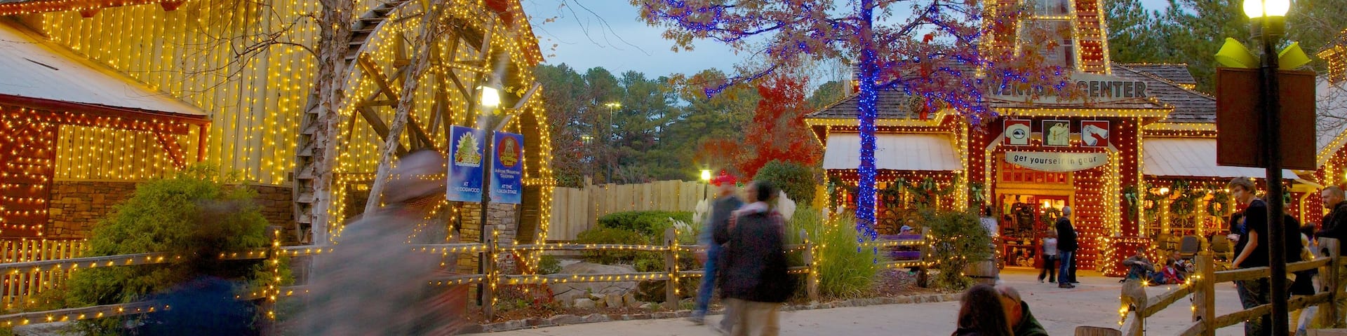 Stone Mountain Park que incluye un jardín y hojas de otoño