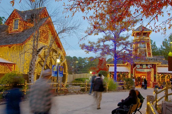 Stone Mountain Park qui includes jardin et feuilles d\'automne