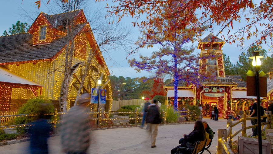 Stone Mountain Park which includes a garden and autumn leaves