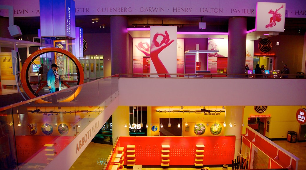 Chicago Museum of Science and Industry showing interior views