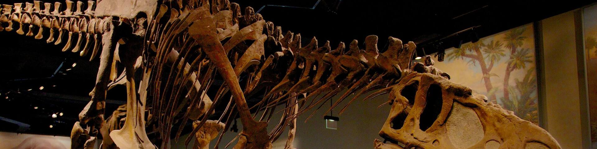 Field Museum of Natural History showing interior views