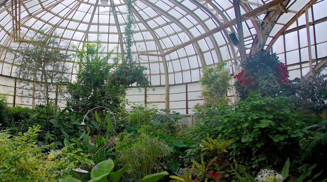 Lincoln Park Conservatory qui includes parc, vues intérieures et fleurs