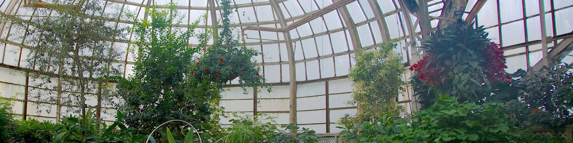 Lincoln Park Conservatory mostrando vistas interiores, un parque y flores