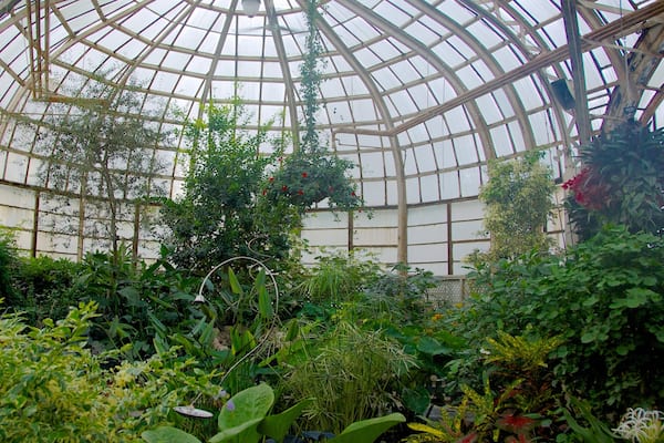Lincoln Park Conservatory qui includes parc, vues intérieures et fleurs