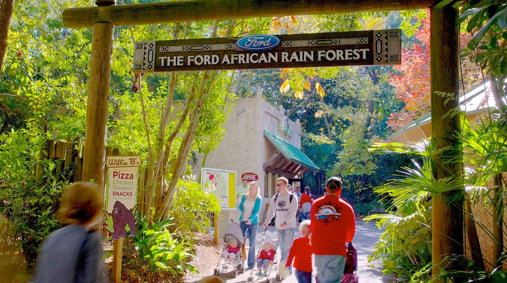 Zoo Atlanta showing signage and zoo animals