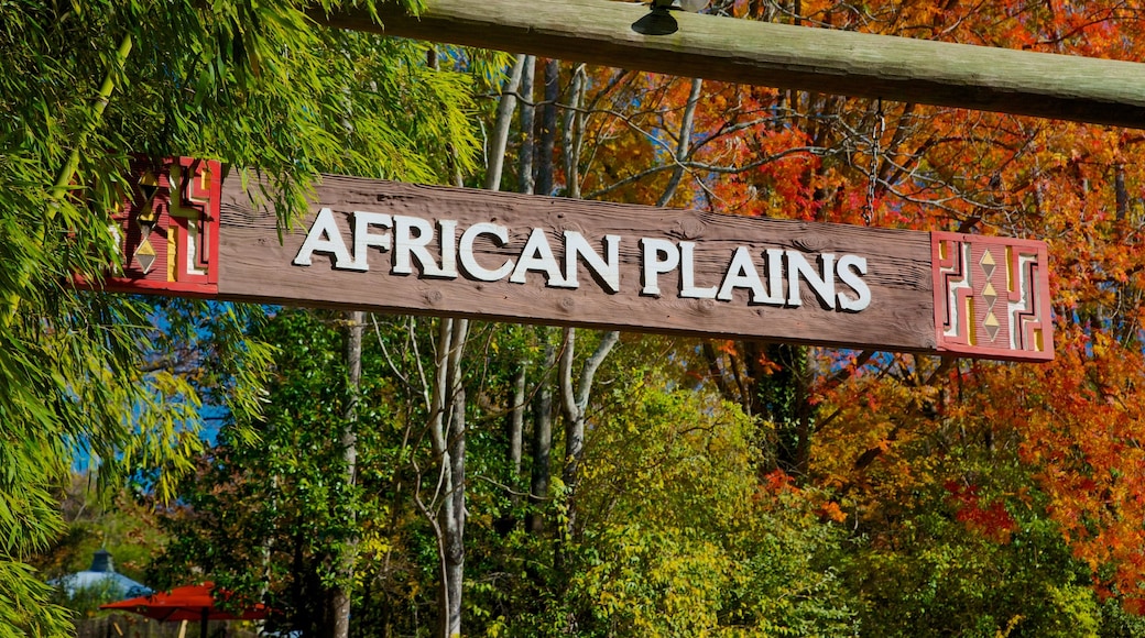 Zoo Atlanta featuring autumn leaves, signage and zoo animals