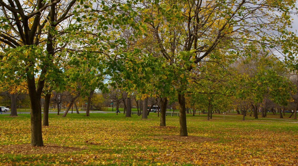 Illinois que incluye vistas de paisajes, los colores del otoño y un parque