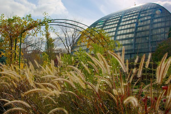 Garfield Park Conservatory das einen Garten