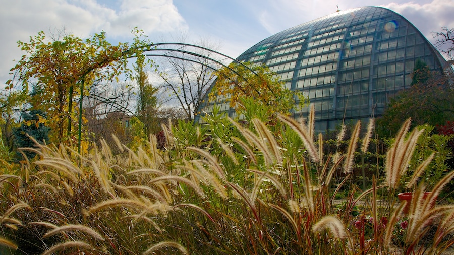 Garfield Park Conservatory showing a park