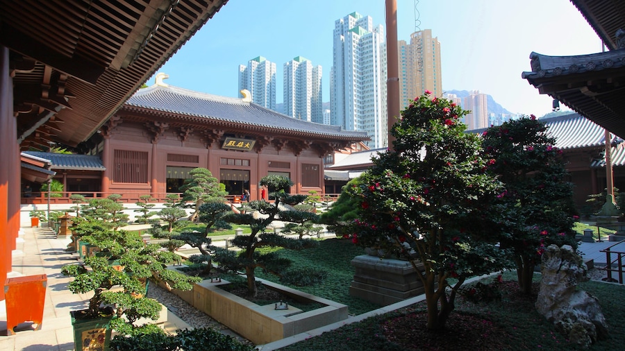Hong Kong mostrando patrimonio de arquitectura, un rascacielos y una ciudad