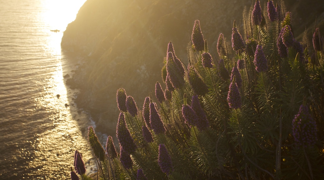 Pfeiffer Big Sur State Park featuring a sunset, landscape views and rugged coastline