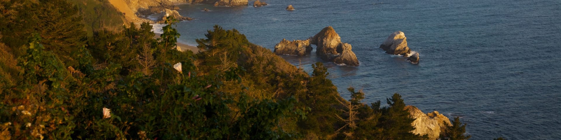Pfeiffer Big Sur State Park which includes landscape views and rocky coastline