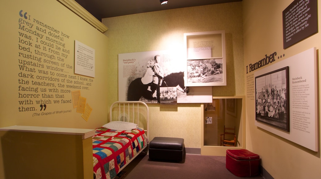 National Steinbeck Center เนื้อเรื่องที่ การตกแต่งภายใน