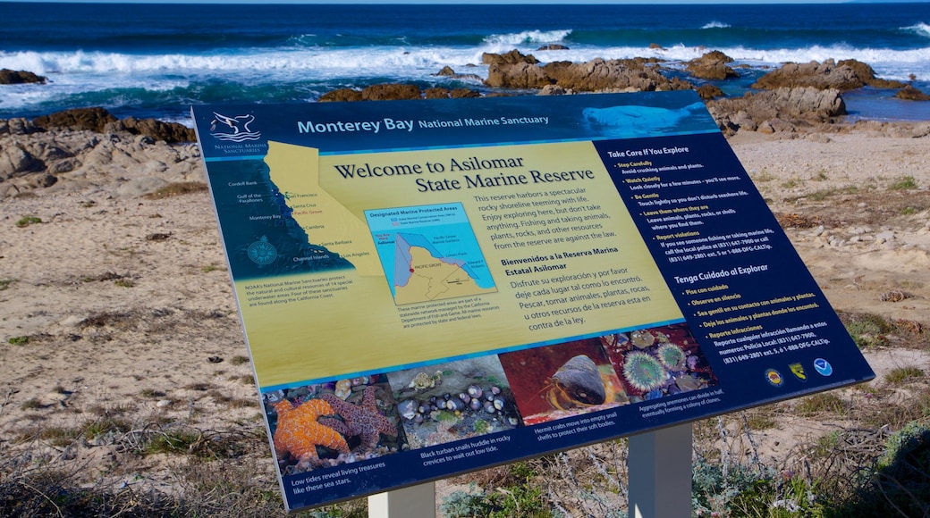 Asilomar State Beach mostrando sinalização e paisagem