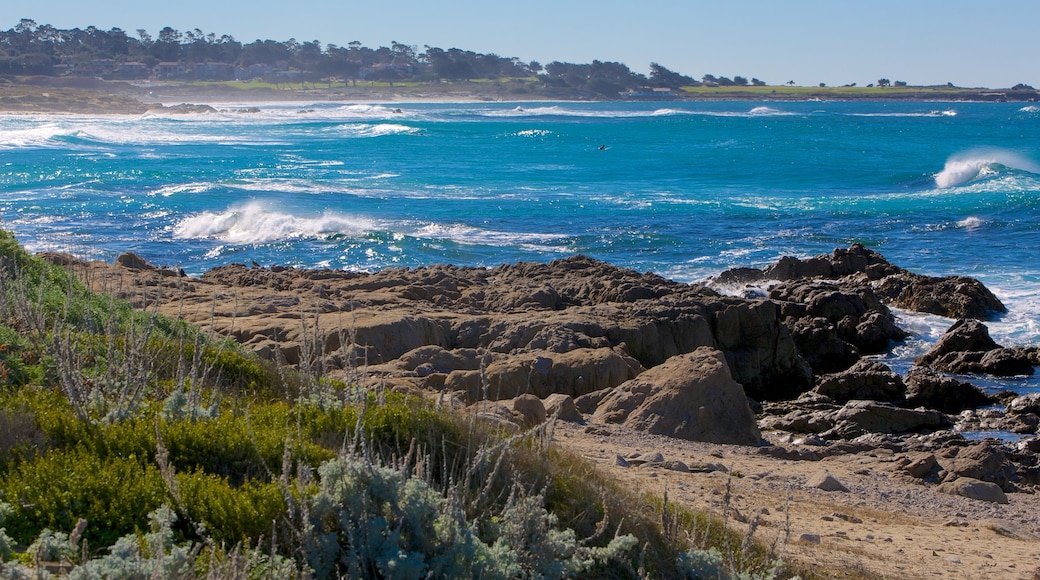 Asilomar State Beach showing rocky coastline, landscape views and general coastal views