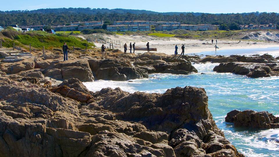 Asilomar State Beach bevat een kuststadje, landschappen en tropische uitzichten