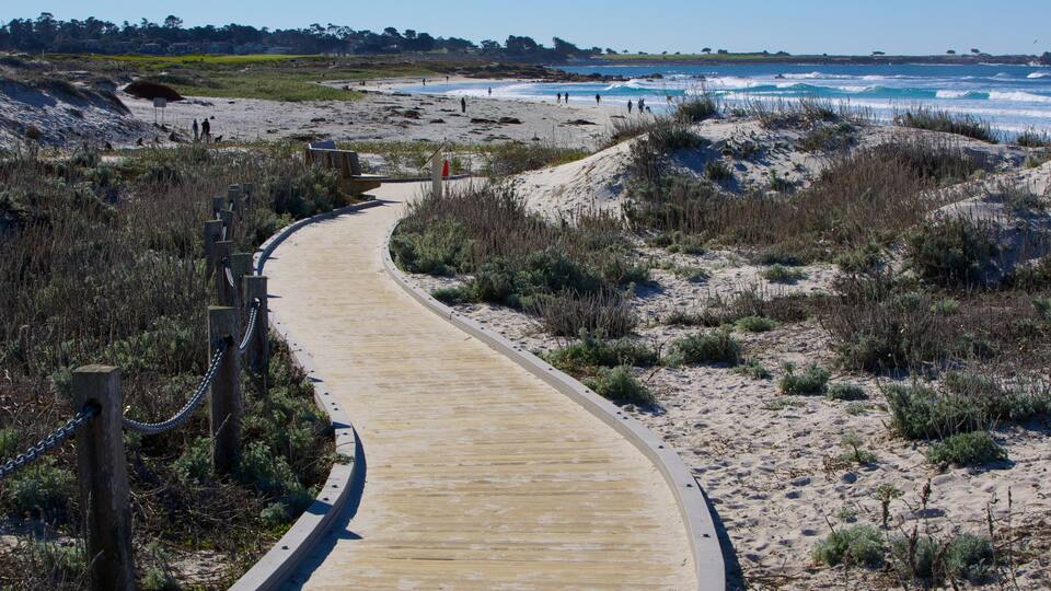 Asilomar State Beach bevat landschappen, een strand en algemene kustgezichten